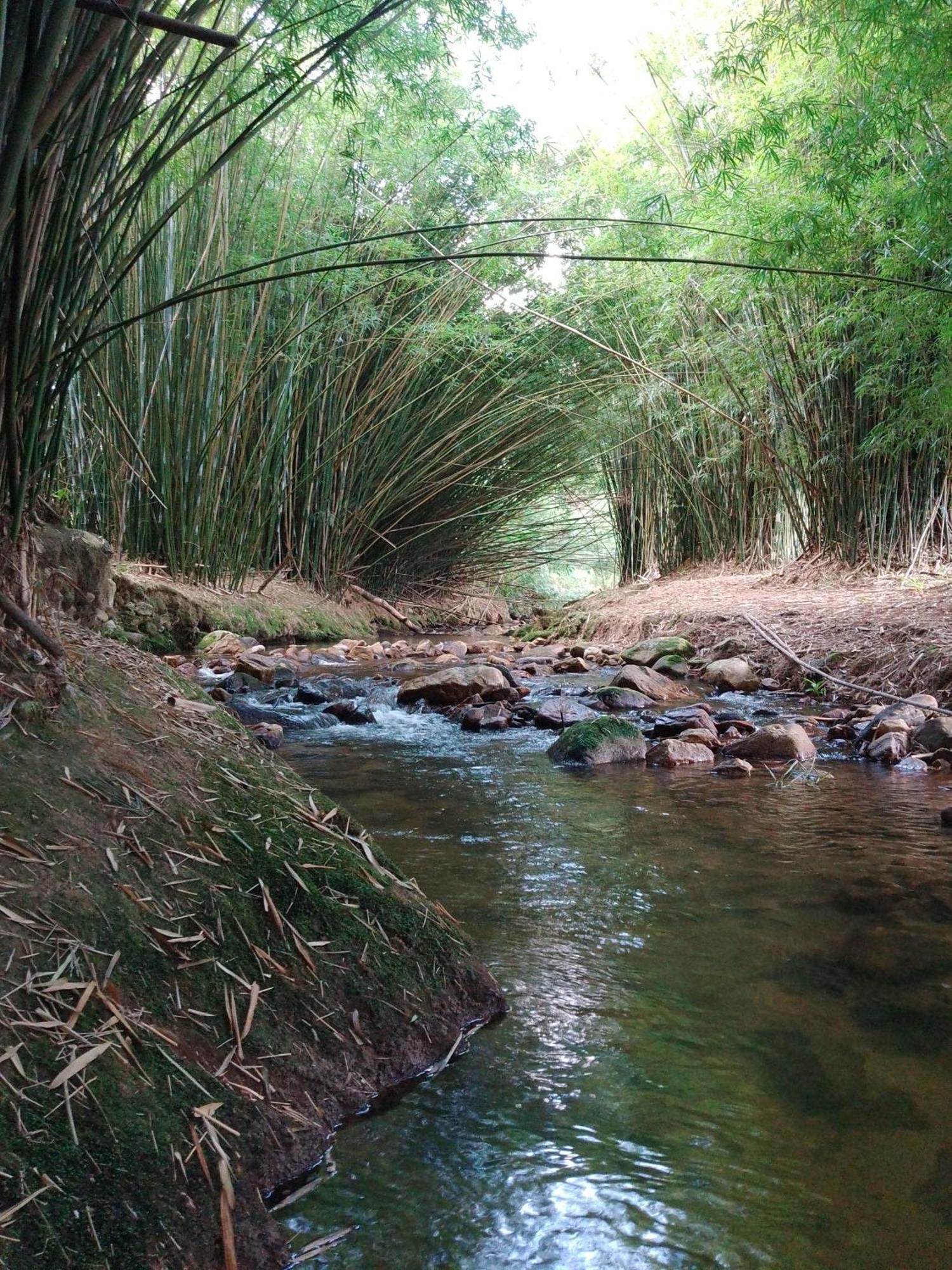 Rancho Pe Da Pedra Villa São Bento do Sapucaí Rum bild